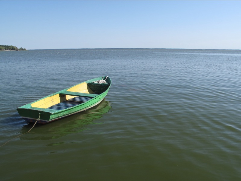 Discover help in navigating through murky moral waters Discover help in navigating through murky moral waters