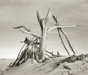 Sanctification (1) | My Utmost For His Highest